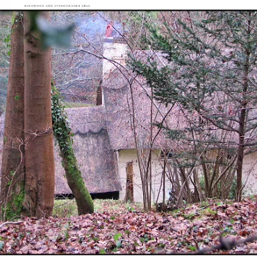 Ringwood, Hampshire, UK Nestled at the edge (now) of the New Forest, Ringwood is my home town in the UK